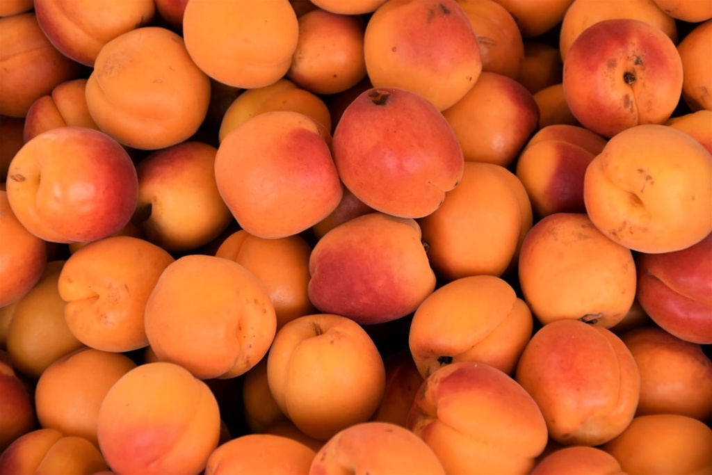 APRICOT KERNEL