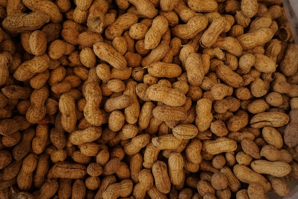 Roasted Blanched Peanut Kernel